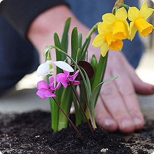 Аксессуары для благоустройства захоронений | Посадка цветов в цветник